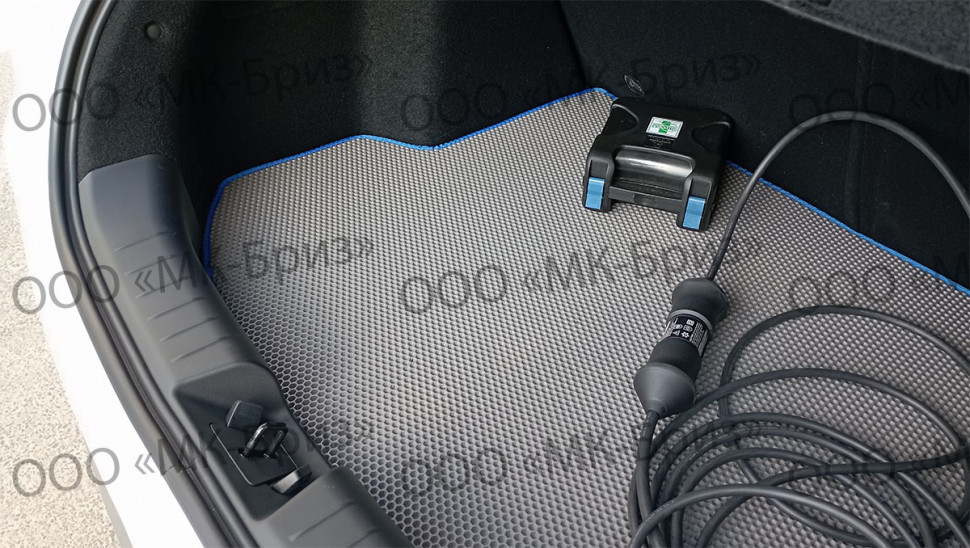 Автоковрики EVA для Geely Geometry C под заказ (1-3 дня), доставка